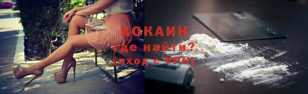 стаф Абаза