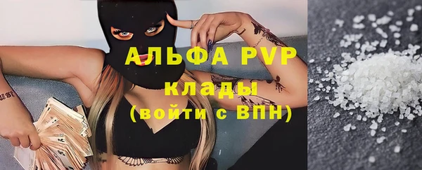 стаф Абаза