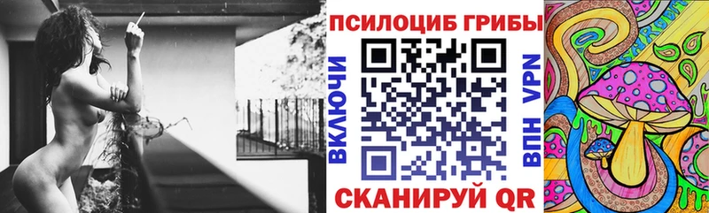 Псилоцибиновые грибы MAGIC MUSHROOMS  Торжок 